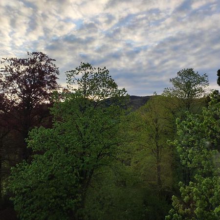 Villa Petterhof Schottwien Zewnętrze zdjęcie