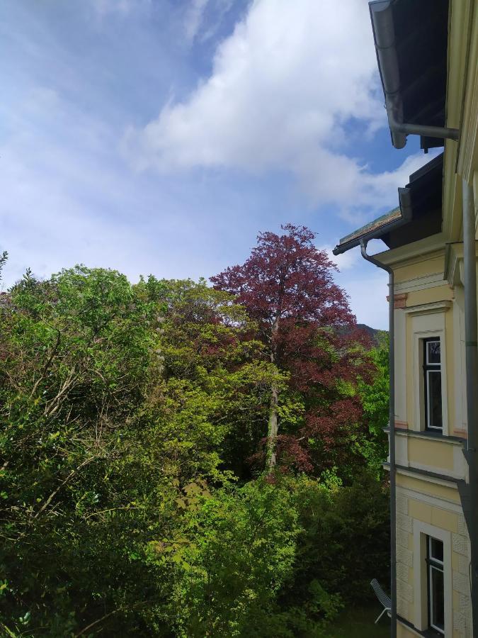 Villa Petterhof Schottwien Zewnętrze zdjęcie
