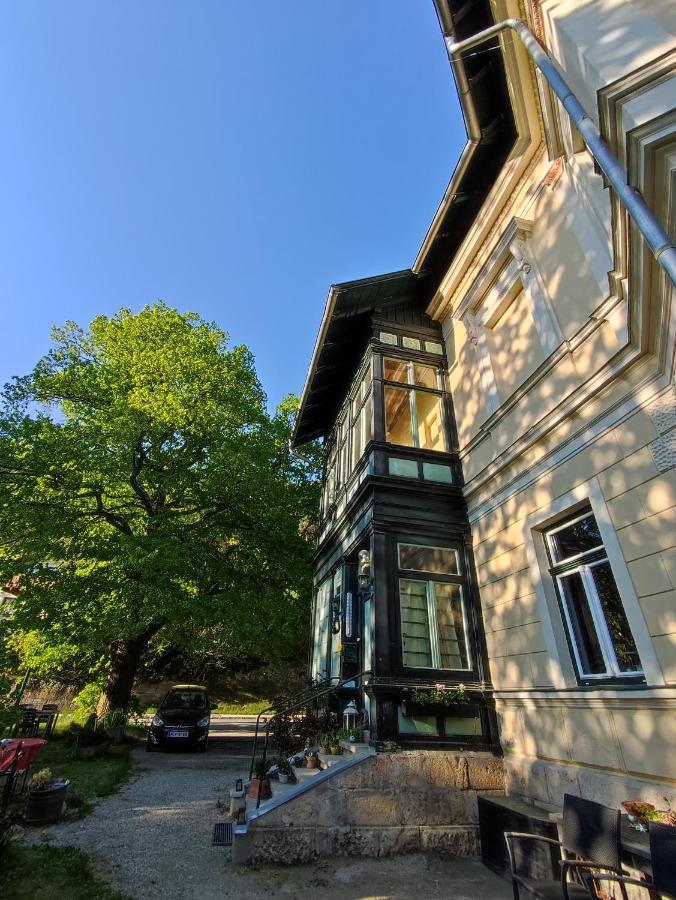 Villa Petterhof Schottwien Zewnętrze zdjęcie